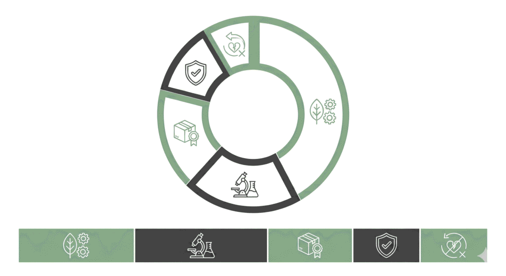 Cost Breakdown Eco-Friendly Adult Toy Production manufacturing cost analysis sustainable sex toys